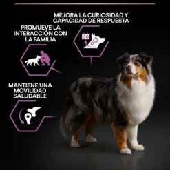 Pro Plan Adult Medium y Large Pollo pienso para perros Sénior +7