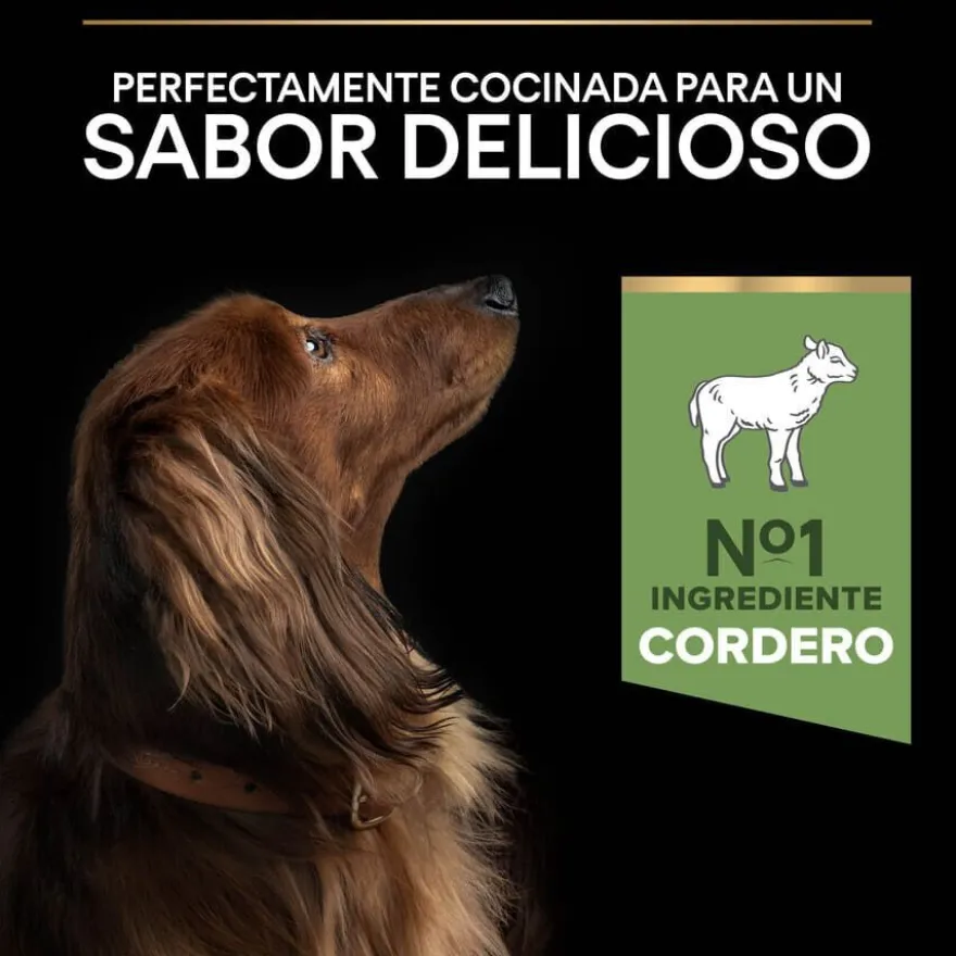 Pro Plan Adult Small y Mini Digestión Cordero pienso para perros