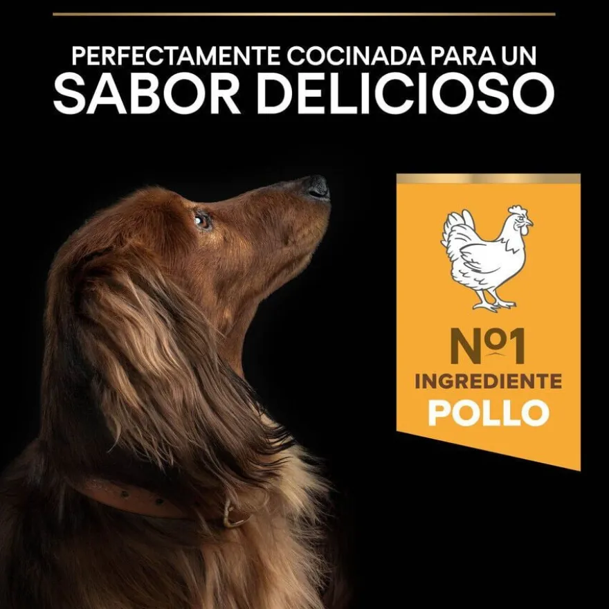 Pro Plan Adult Small y Mini Pollo pienso para perros