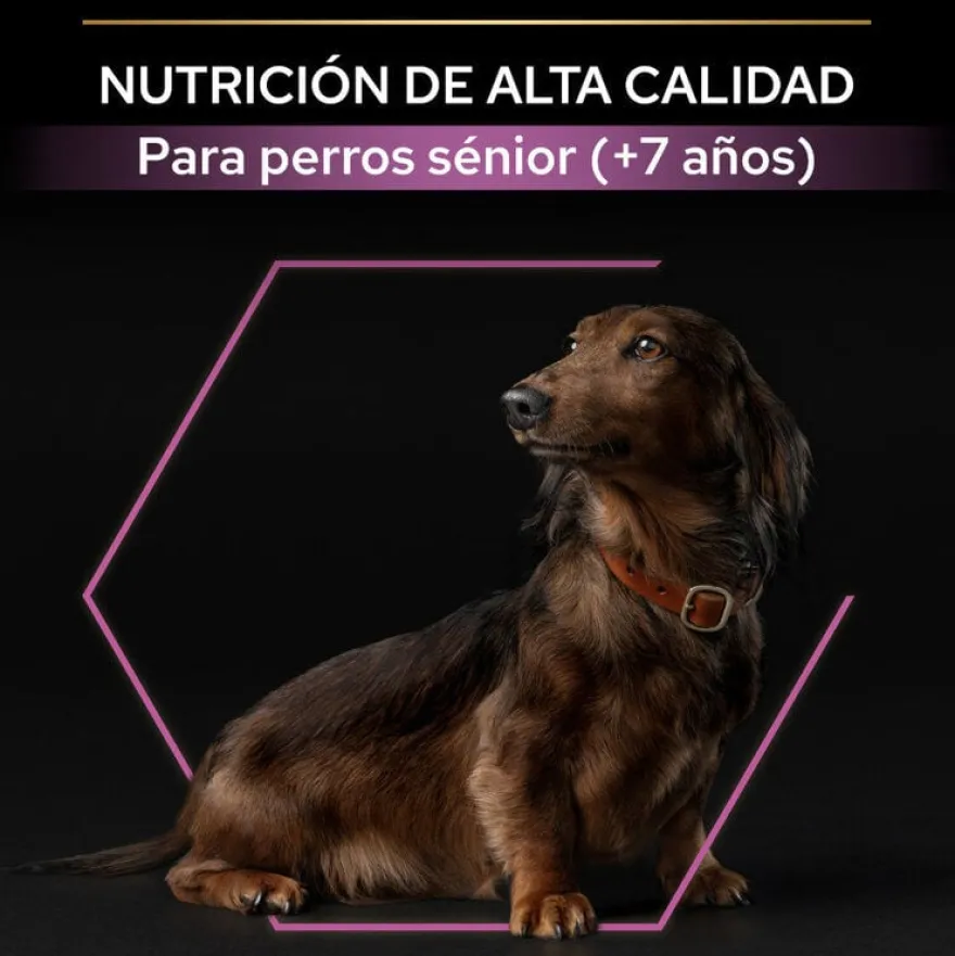 Pro Plan Adult Small y Mini Pollo pienso para perros Sénior +9