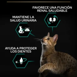 Pro Plan Adult Sterilized Salmón Pienso para gatos