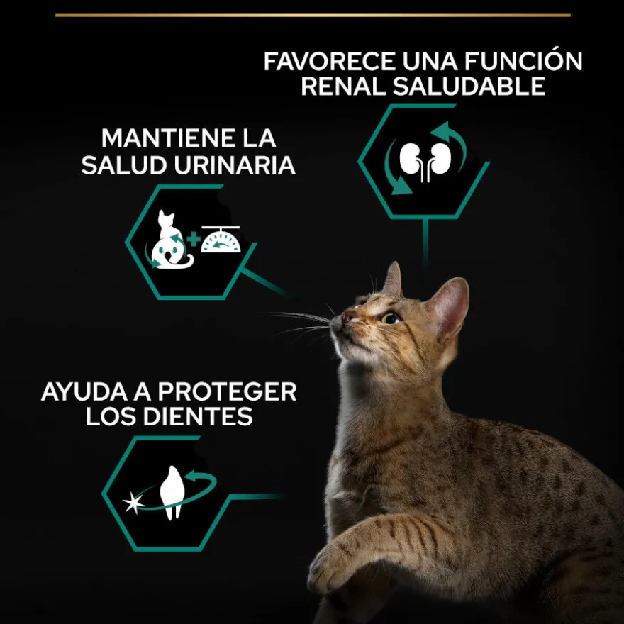Pro Plan Adult Sterilized Salmón Pienso para gatos