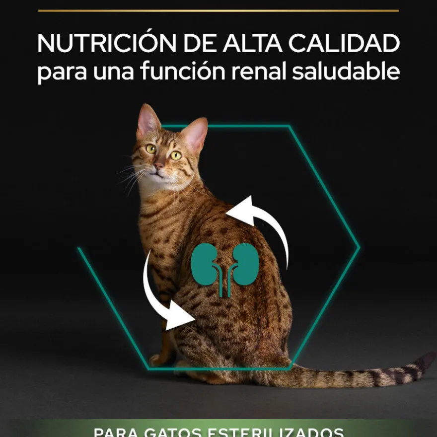 Pro Plan Adult Sterilized Salmón Pienso para gatos