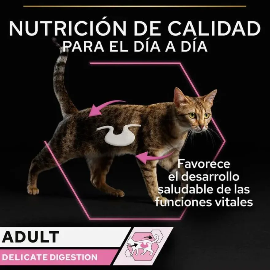 Pro Plan Delicate Digestion con Pavo en Salsa para gatos