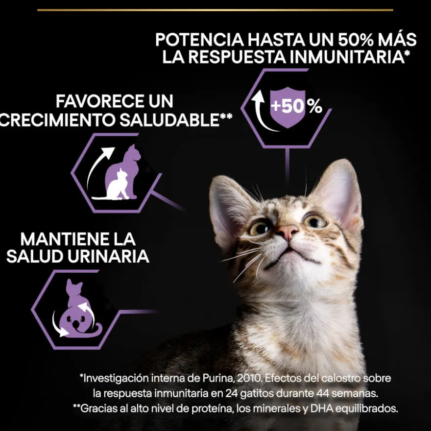 Pro Plan Kitten Pollo pienso para gatos