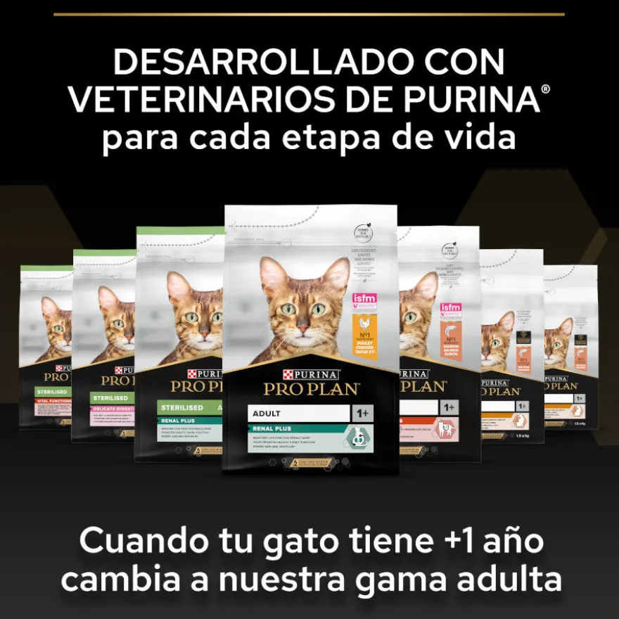 Pro Plan Kitten Pollo pienso para gatos