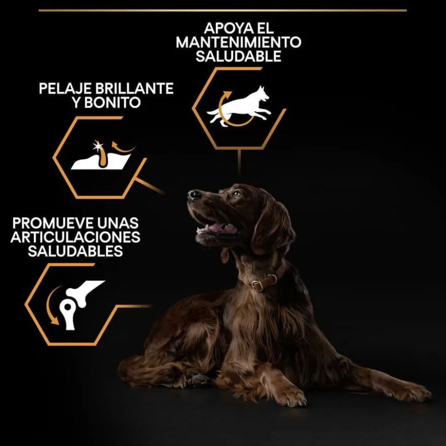 Pro Plan Large Athletic Adult Pollo pienso para perros