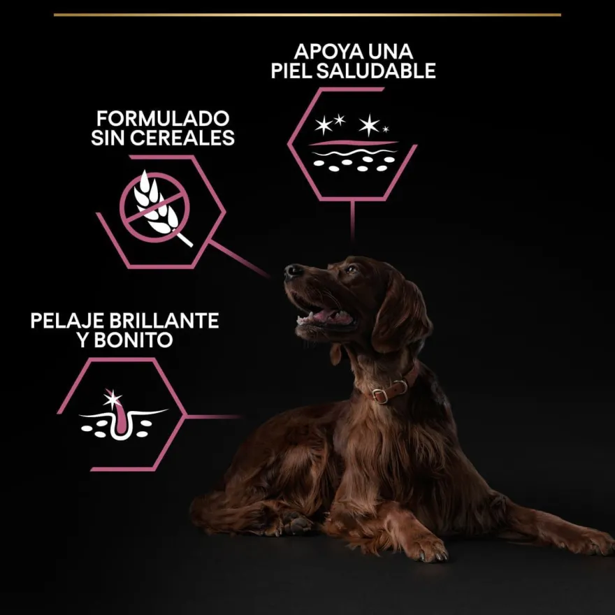 Pro Plan Large Athletic Adult Salmón piel sensible pienso para perros