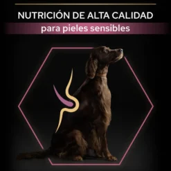 Pro Plan Large Athletic Adult Salmón piel sensible pienso para perros