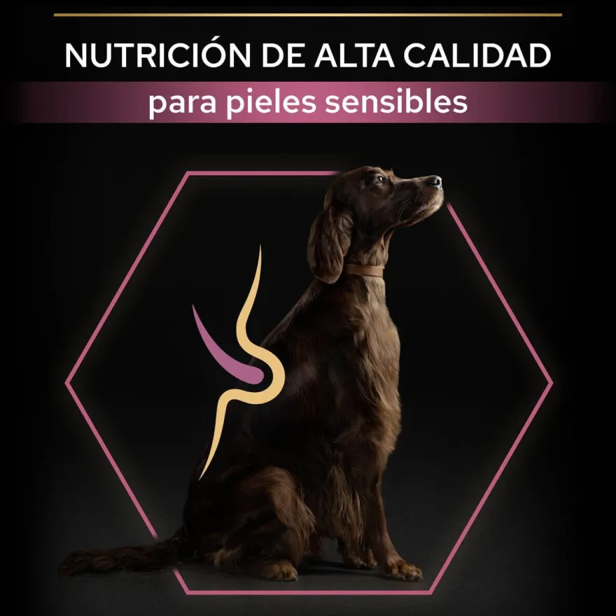 Pro Plan Large Athletic Adult Salmón piel sensible pienso para perros