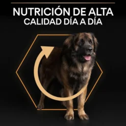 Pro Plan Large Robust Adult pienso para perros
