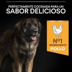 Pro Plan Large Robust Adult pienso para perros