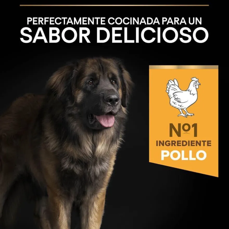 Pro Plan Large Robust Adult pienso para perros