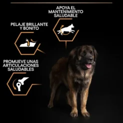 Pro Plan Large Robust Adult pienso para perros