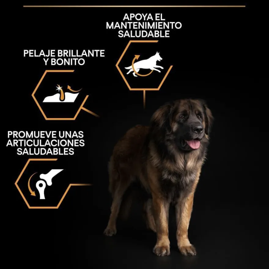 Pro Plan Large Robust Adult pienso para perros