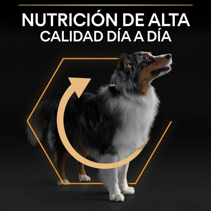 Pro Plan Medium Adult Pollo pienso para perros
