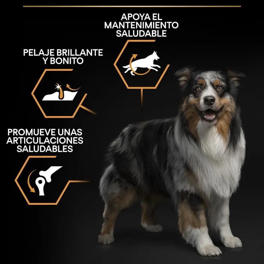 Pro Plan Medium Adult Pollo pienso para perros