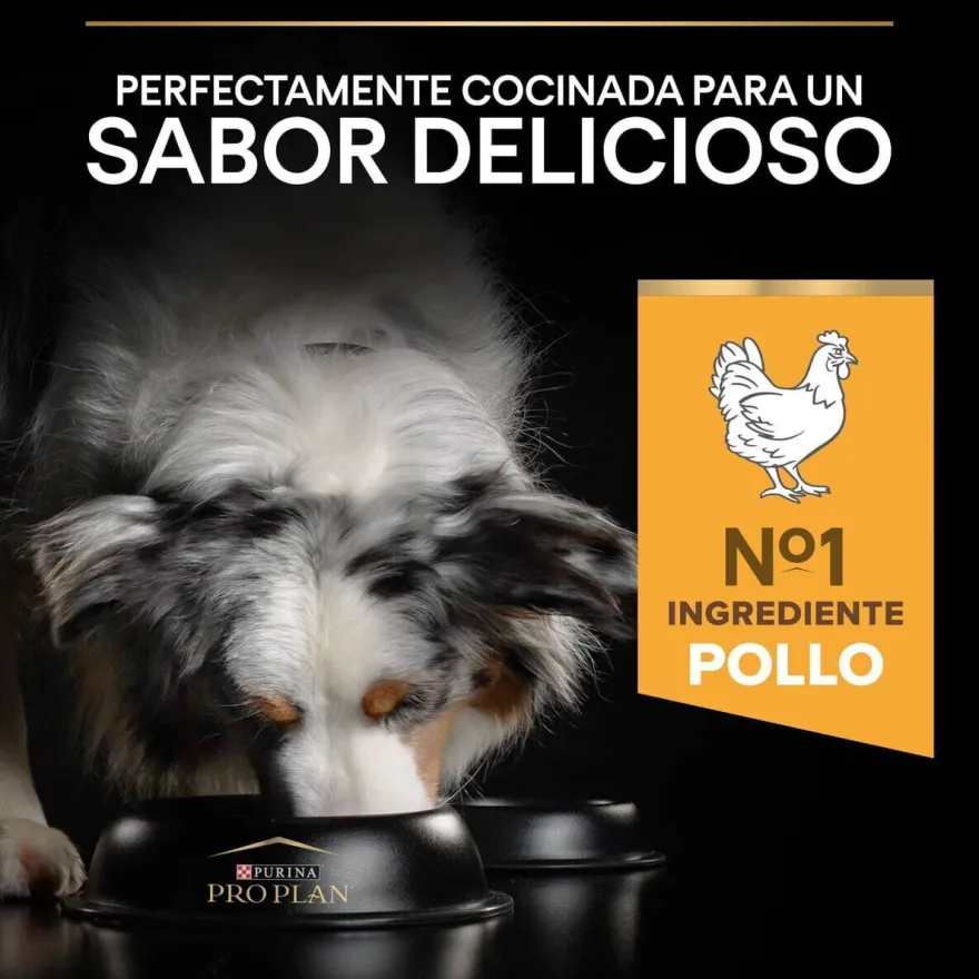 Pro Plan Medium Adult Pollo pienso para perros