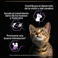 Pro Plan Mousse Baby Kitten Pollo Lata para gatos