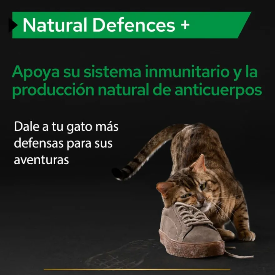 Pro Plan Natural Defences + para gatos