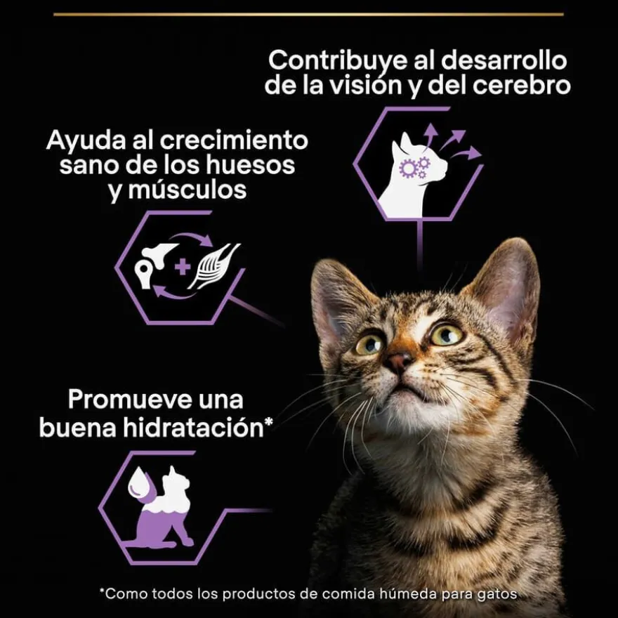 Pro Plan NutriSavour Feline Kitten Pavo en salsa sobre para gatos