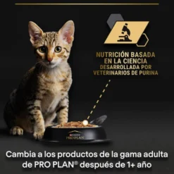 Pro Plan NutriSavour Feline Kitten Pavo en salsa sobre para gatos