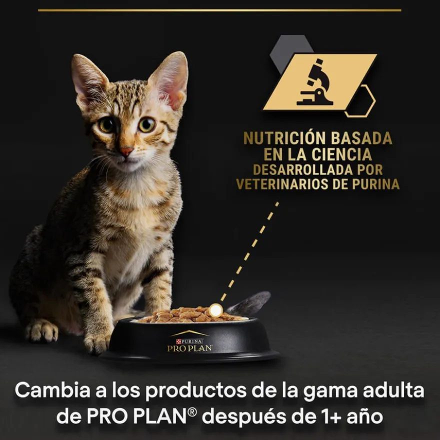 Pro Plan NutriSavour Feline Kitten Pavo en salsa sobre para gatos