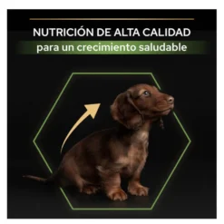 Pro Plan Puppy Small y Mini Pollo pienso para perros