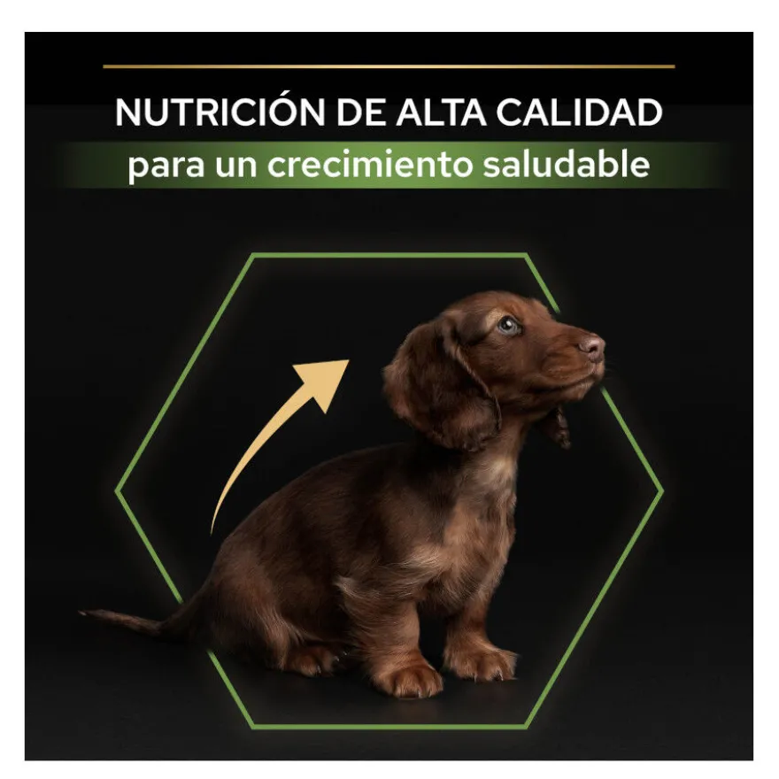 Pro Plan Puppy Small y Mini Pollo pienso para perros