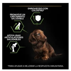 Pro Plan Puppy Small y Mini Pollo pienso para perros