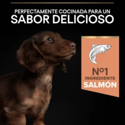 Pro Plan Puppy Small y Mini Salmón pienso para Perros Piel