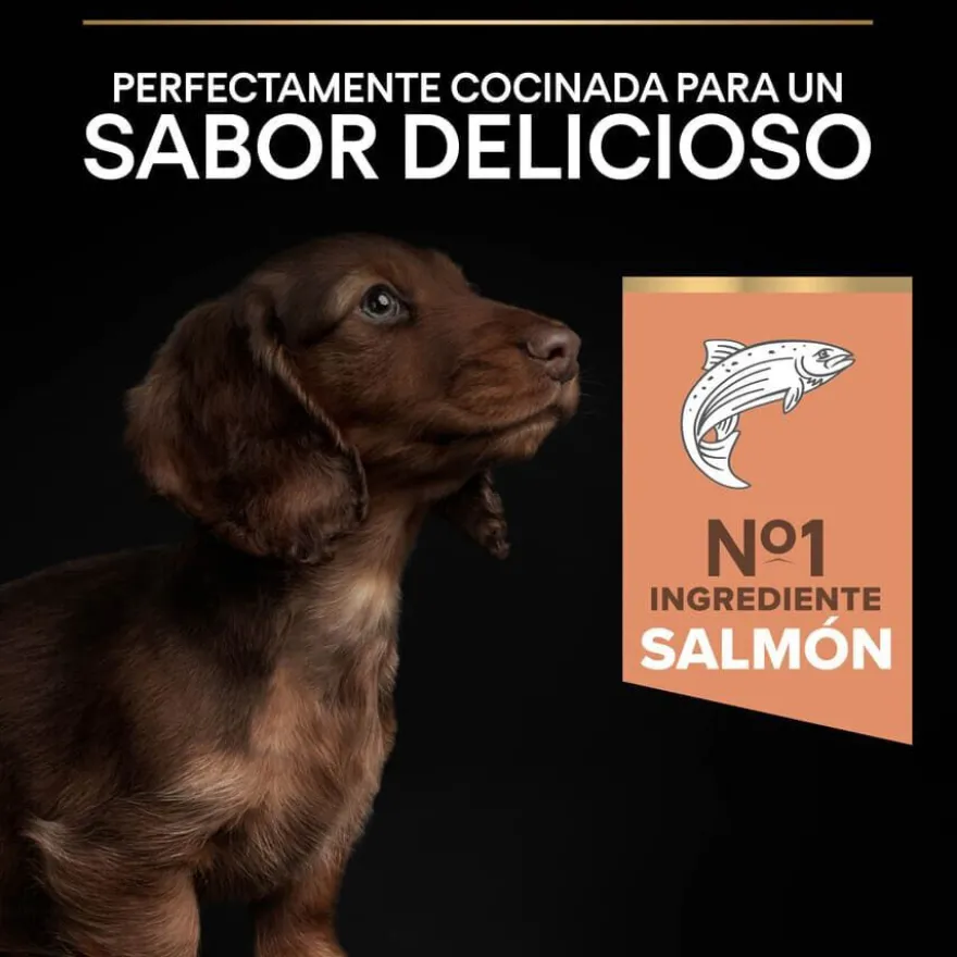 Pro Plan Puppy Small y Mini Salmón pienso para Perros Piel