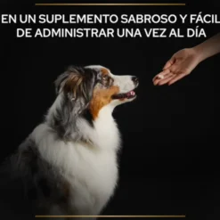 Pro Plan Relax + para perros