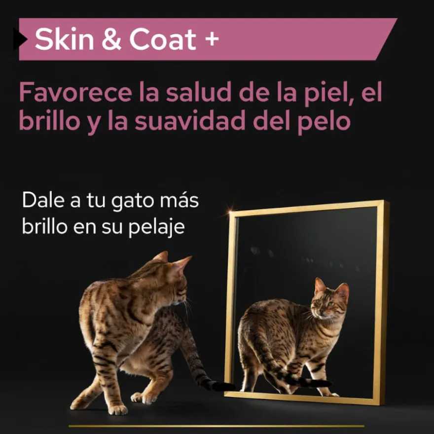 Pro Plan Skin & Coat + Aceite de Salmón Noruego para gatos