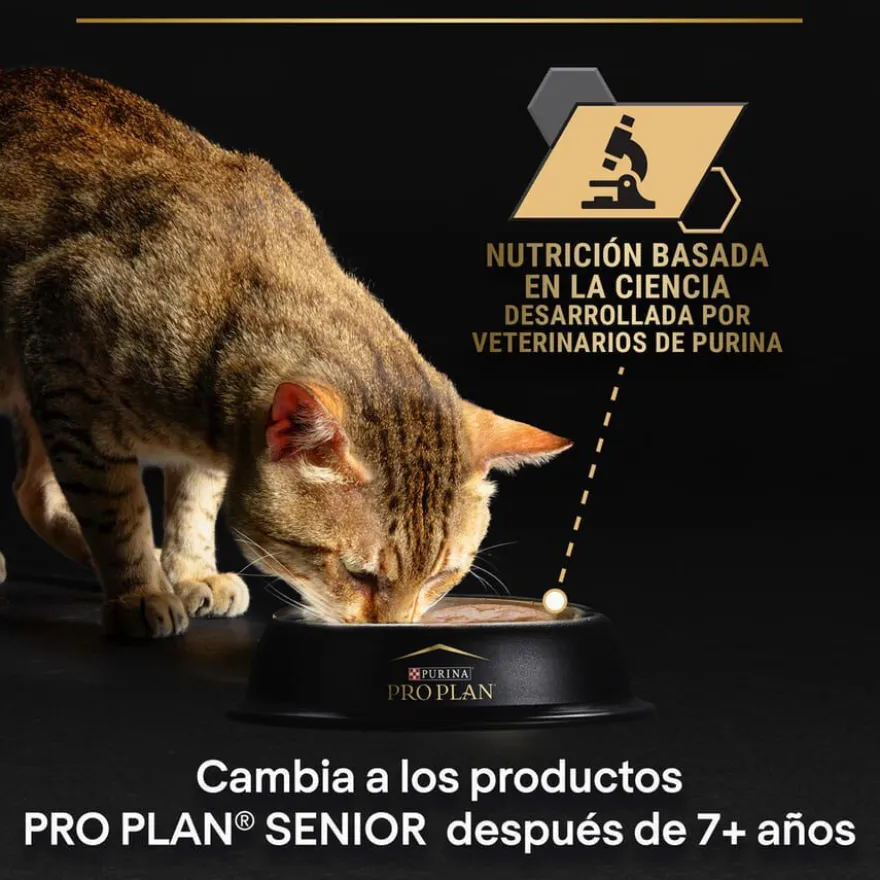 Pro Plan Sterilised Maintenance sobre con Pollo en salsa para gatos