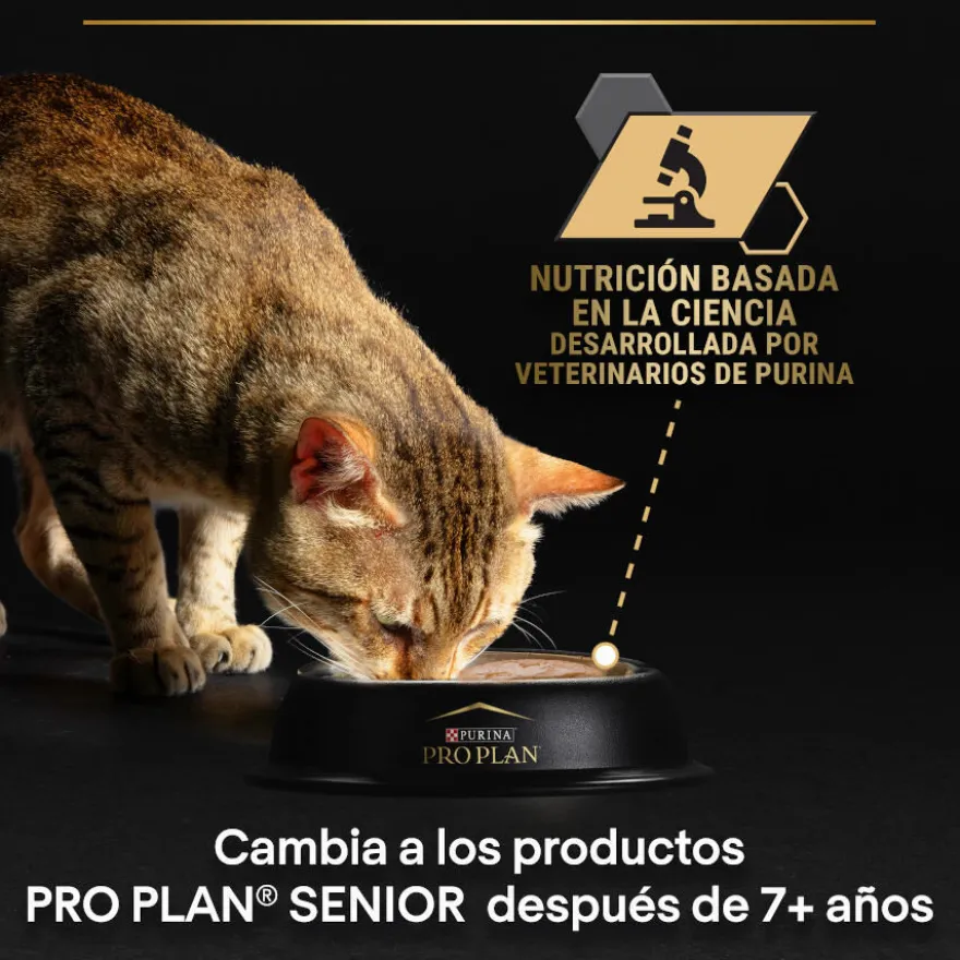 Pro Plan Sterilised Maintenance Terrina con atún y salmón para gatos