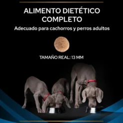 Pro Plan Veterinary Diets Dermatosis pienso para perros