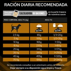 Pro Plan Veterinary Diets Renal pienso para perros