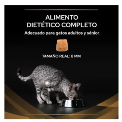Pro Plan Veterinary Diets Renal Advanced Care pienso para gatos