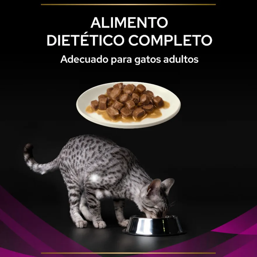 Pro Plan Veterinary Diets St/Ox Urinary Pollo en Salsa sobre para gatos – Multipack