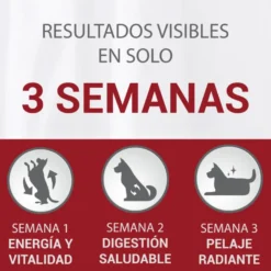 Purina One Adult Mini Bifensis Sensitive Salmón y Arroz pienso para perros