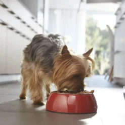 Purina One Adult Mini Weight Control Sterilised Pavo y Arroz pienso para perros