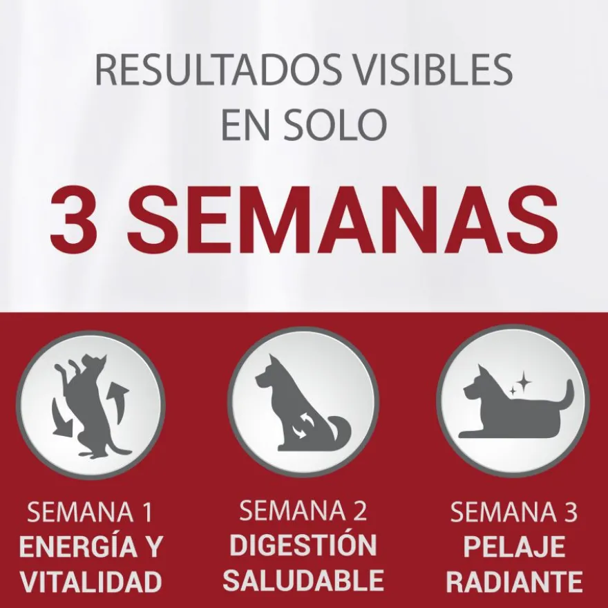 Purina One Junior Bifensis Pollo pienso para perros