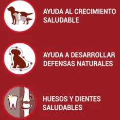 Purina One Junior Bifensis Pollo pienso para perros