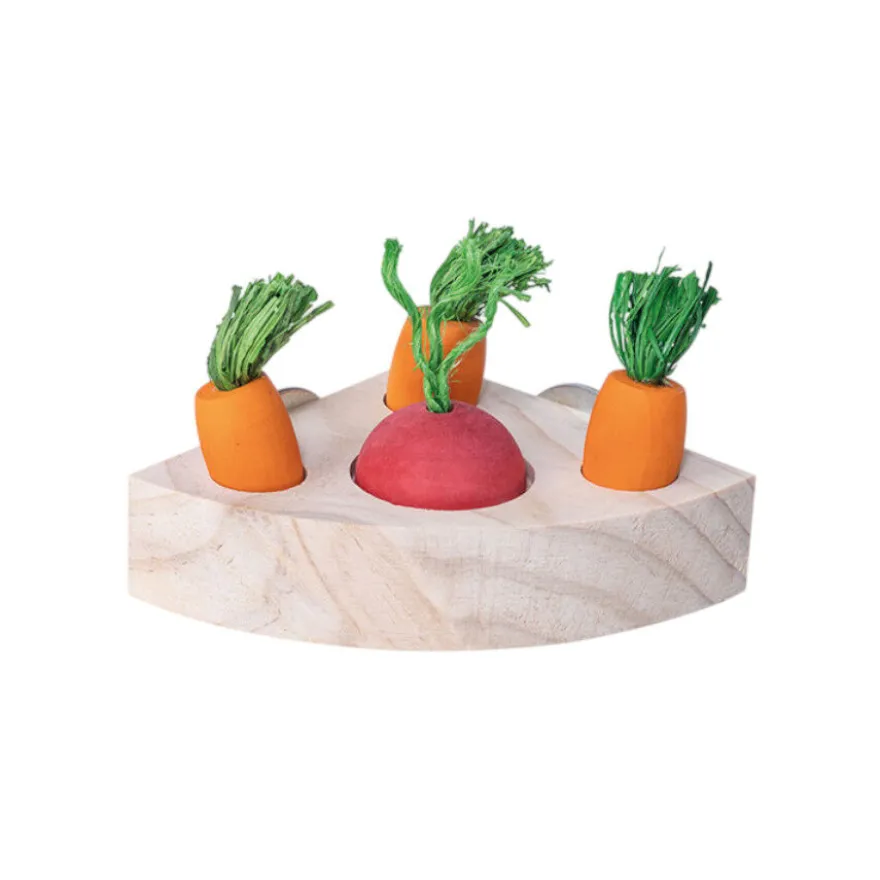 Quapas Rompecabezas Triangular Snacks Juguete para roedores