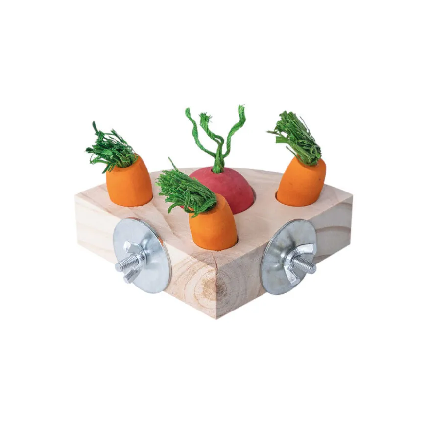 Quapas Rompecabezas Triangular Snacks Juguete para roedores