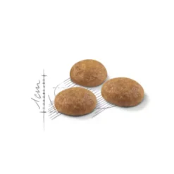 Royal Canin Active Life Outdoor pienso para gatos