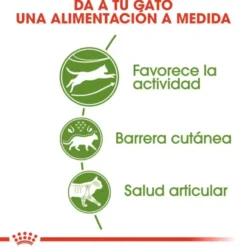 Royal Canin Active Life Outdoor pienso para gatos