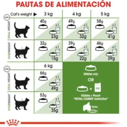 Royal Canin Active Life Outdoor pienso para gatos