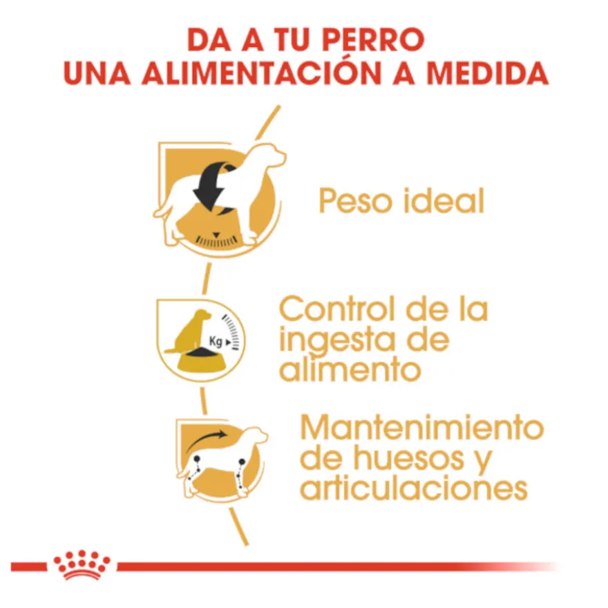 Royal Canin Adult Beagle pienso para perros